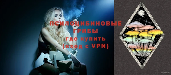 прущие грибы Краснослободск