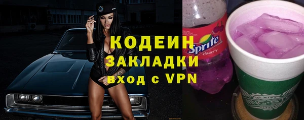 прущие грибы Краснослободск