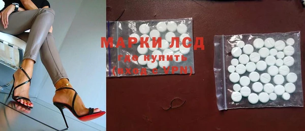 прущие грибы Краснослободск
