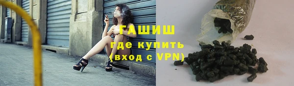 прущие грибы Краснослободск