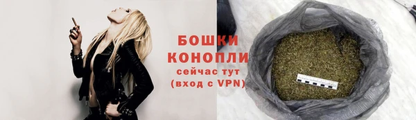 прущие грибы Краснослободск