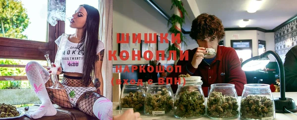 прущие грибы Краснослободск