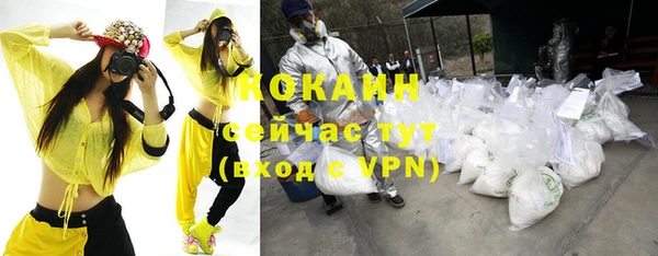 прущие грибы Краснослободск