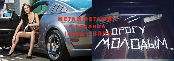 прущие грибы Краснослободск