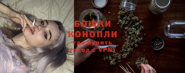 прущие грибы Краснослободск