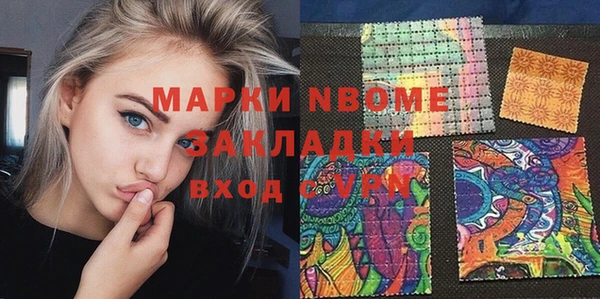 прущие грибы Краснослободск
